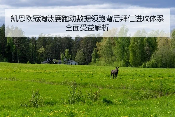 凯恩欧冠淘汰赛跑动数据领跑背后拜仁进攻体系全面受益解析